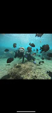 武藤潜水に投稿された画像（2023/12/16）