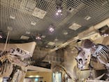 国立科学博物館に投稿された画像（2023/12/16）