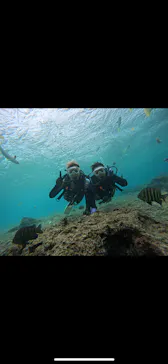 武藤潜水に投稿された画像（2023/12/16）