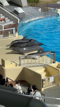 マリンワールド海の中道に投稿された画像（2023/12/16）