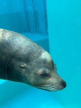 マリンワールド海の中道に投稿された画像（2023/12/16）