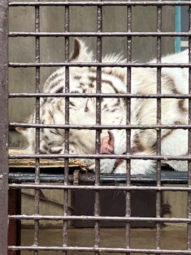 宇都宮動物園に投稿された画像（2023/12/16）