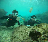 沖縄マリンサービス碧に投稿された画像（2023/12/16）