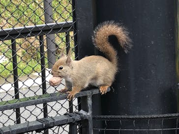 沖縄こどもの国に投稿された画像（2023/12/16）