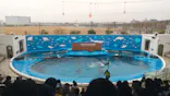 仙台うみの杜水族館に投稿された画像（2023/12/16）