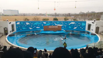 仙台うみの杜水族館に投稿された画像（2023/12/16）