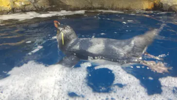 仙台うみの杜水族館に投稿された画像（2023/12/16）