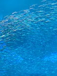 仙台うみの杜水族館に投稿された画像（2023/12/16）