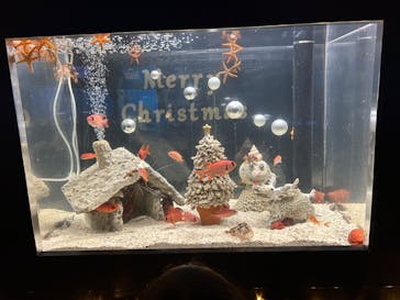 串本海中公園水族館に投稿された画像（2023/12/16）