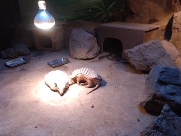 伊豆シャボテン動物公園に投稿された画像（2023/12/16）