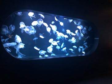 AOAO SAPPOROに投稿された画像（2023/12/16）