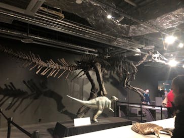 AOAO SAPPOROに投稿された画像（2023/12/16）