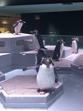 AOAO SAPPOROに投稿された画像（2023/12/16）