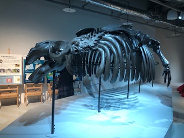 AOAO SAPPOROに投稿された画像（2023/12/16）