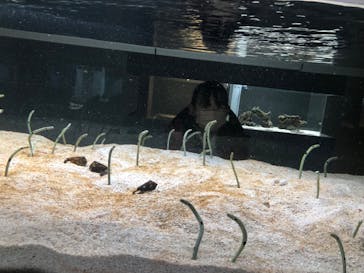 AOAO SAPPOROに投稿された画像（2023/12/16）