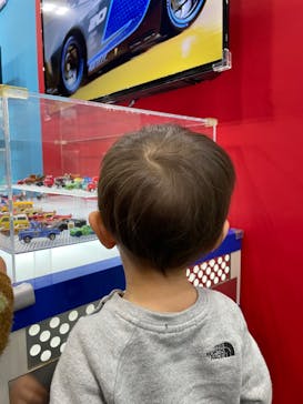 トミカ博 in NAGOYAに投稿された画像（2023/12/16）