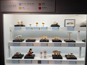 特別展「和食 ～日本の自然、人々の知恵～」に投稿された画像（2023/12/16）