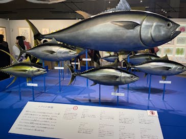 特別展「和食 ～日本の自然、人々の知恵～」に投稿された画像（2023/12/16）