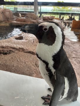 京都水族館に投稿された画像（2023/12/16）