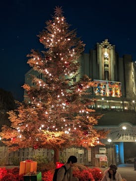 西武園ゆうえんちに投稿された画像（2023/12/16）