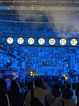 西武園ゆうえんちに投稿された画像（2023/12/16）