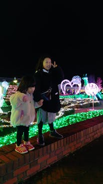 神戸イルミナージュに投稿された画像（2023/12/16）