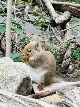 神戸どうぶつ王国に投稿された画像（2023/12/16）