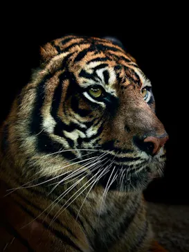 神戸どうぶつ王国に投稿された画像（2023/12/16）