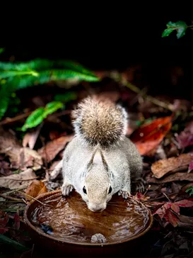 神戸どうぶつ王国に投稿された画像（2023/12/16）