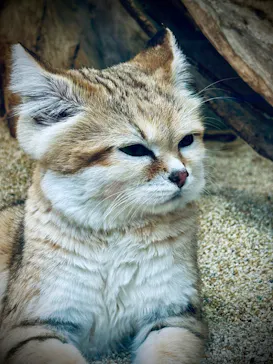 神戸どうぶつ王国に投稿された画像（2023/12/16）