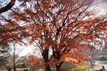 昭和記念公園セグウェイツアーに投稿された画像（2023/12/16）