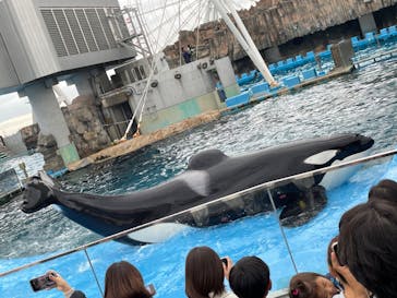名古屋港水族館に投稿された画像（2023/12/16）