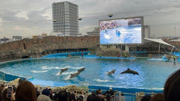 名古屋港水族館に投稿された画像（2023/12/16）