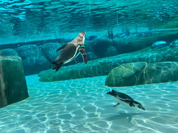 天王寺動物園に投稿された画像（2023/12/16）