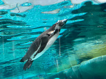 天王寺動物園に投稿された画像（2023/12/16）