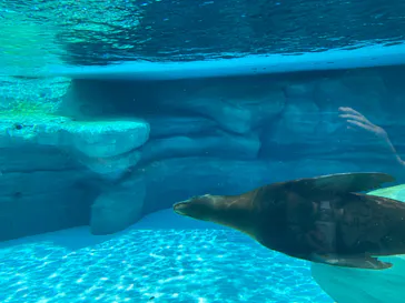 天王寺動物園に投稿された画像（2023/12/16）