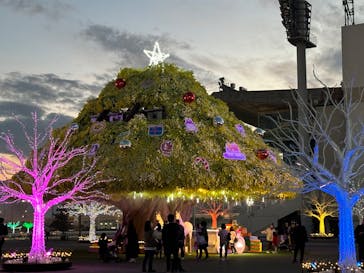 東京メガイルミに投稿された画像（2023/12/16）