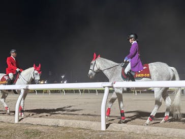 東京メガイルミに投稿された画像（2023/12/16）