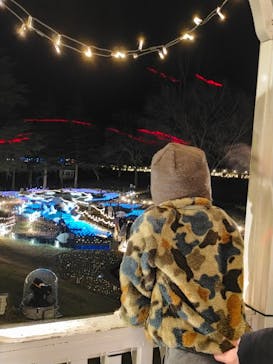 修善寺虹の郷に投稿された画像（2023/12/16）