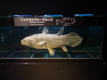 環境水族館アクアマリンふくしまに投稿された画像（2023/12/16）