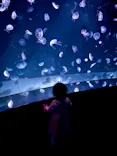サンシャイン水族館に投稿された画像（2023/12/16）