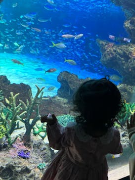 サンシャイン水族館に投稿された画像（2023/12/16）