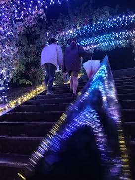 いばらきフラワーパークに投稿された画像（2023/12/16）