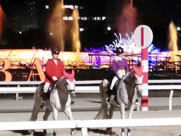 東京メガイルミに投稿された画像（2023/12/16）