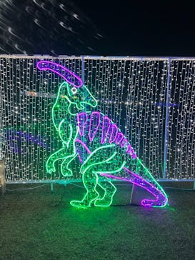 鹿児島イルミナージュに投稿された画像（2023/12/16）