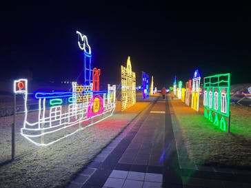 鹿児島イルミナージュに投稿された画像（2023/12/16）