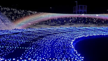 東京メガイルミに投稿された画像（2023/12/16）