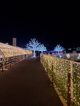 東京メガイルミに投稿された画像（2023/12/16）