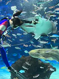 サンシャイン水族館に投稿された画像（2023/12/16）