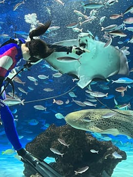 サンシャイン水族館に投稿された画像（2023/12/16）